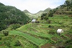 Terrassenfelder