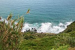 Garten am Meer