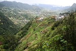 noch einmal "Sao Roque do Faial"