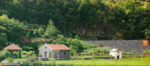 Innenseite des Prospekts - Foto des Museum-Gartens