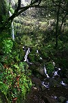 kleine Wasserfälle