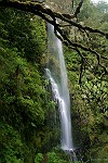 Wasserfall