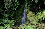 Wasserfall
