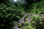 der Bach des Caldeirao Verde