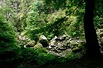 Bach auf dem Weg zum "Calderao do Inferno"