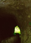 Blick zurück durch den Tunnel