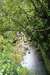 Wildbach