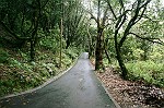Strasse von Santana nach Queimadas