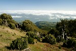 "Natur-Gärten" am Achada do Teixeira