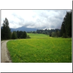 061_Sprittelsberg01_Weg_m.jpg
