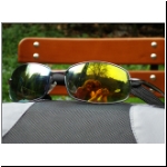 094_Cafe-Waldschlucht14_Sonnenbrille_WR2b_m.jpg