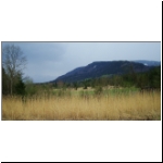 116_auf-den-Moorweg_Holzschlag1_m.jpg