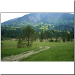 126_Murnauer-Moos_Lichtung1.JPG
