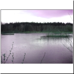 142_Moorweiher_pink.jpg