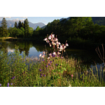 143_Moorweiher-Bank.jpg