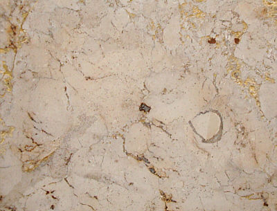 Befreiungshalle - Suchbild: Wolfshund