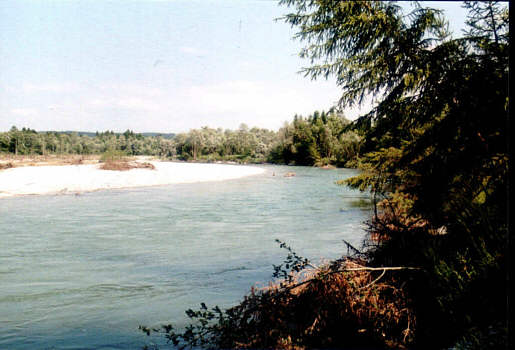 Nicht immer führt die Isar so viel Wasser. Manchmal wirds schon kritisch - wenn man von weitem die Steine aus dem niedrigen Wasser ragen sieht - und nicht weiß, wie herumschiffen!