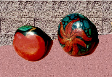 Der Apfel f&uuml;r die Frau aus Elmali - und Seestern