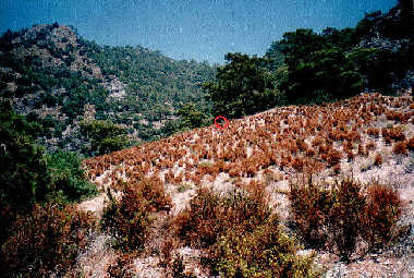 Unser neuer Wohnort auf dem Sandh&uuml;gel - in der N&auml;he des Touristenstrandes