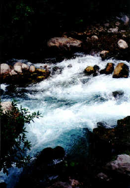 Lebendiger Bergkristall