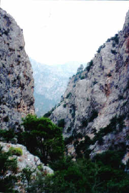 Der Ausguckfelsen - Einstieg in die Schlucht