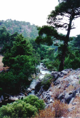 Ausblick auf den &Ouml;ren Cayi am anderen Ufer