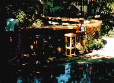 Die Fische kommen neugierig und immer streichelsüchtig angeschwommen