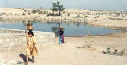 Bishnoi beim Wasserholen