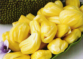 Jackfruit offen