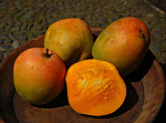 Foto: W.A. Djatmiko  von der Seite:  http://commons.wikimedia.org/wiki/Mangifera_indica?uselang=de