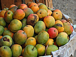 Foto: W.A. Djatmiko  von der Seite:  http://commons.wikimedia.org/wiki/Mangifera_indica?uselang=de