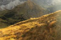 2014-10-20_Rotspitze_(1415).JPG