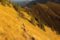 2014-10-20_Rotspitze_(1422).JPG