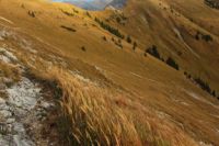 2014-10-20_Rotspitze_(1433).JPG