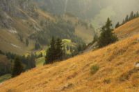 2014-10-20_Rotspitze_(1439).JPG