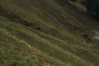 2014-10-20_Rotspitze_(1495).JPG