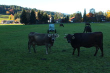 R.Rau Gumpenjoechl