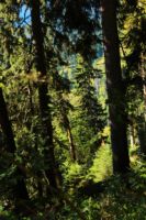 2014-09-17_Klammspitze_R_R_(241).JPG
