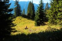 2014-09-17_Klammspitze_R_R_(251).JPG