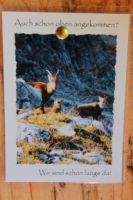 2014-09-17_Klammspitze_R_R_(294).JPG