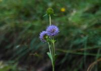 2014-09-27_Kramerspitz_(215)b.JPG