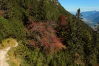 2014-09-27_Kramerspitz_(532).JPG