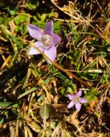 2014-09-27_Kramerspitz_(923)b.JPG