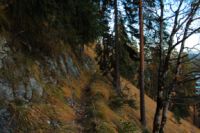 2014-11-02_Fahrenbergk_(263).JPG