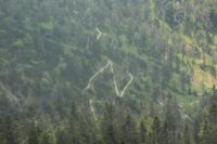 2015-06-11_Herzogstand_(214).JPG