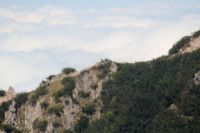 2015-06-11_Herzogstand_(246)b.JPG