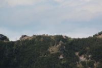 2015-06-11_Herzogstand_(252).JPG