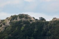 2015-06-11_Herzogstand_(253)b.JPG