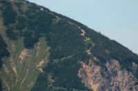 2015-06-11_Herzogstand_(256)c.JPG