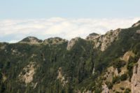 2015-06-11_Herzogstand_(270)b.JPG